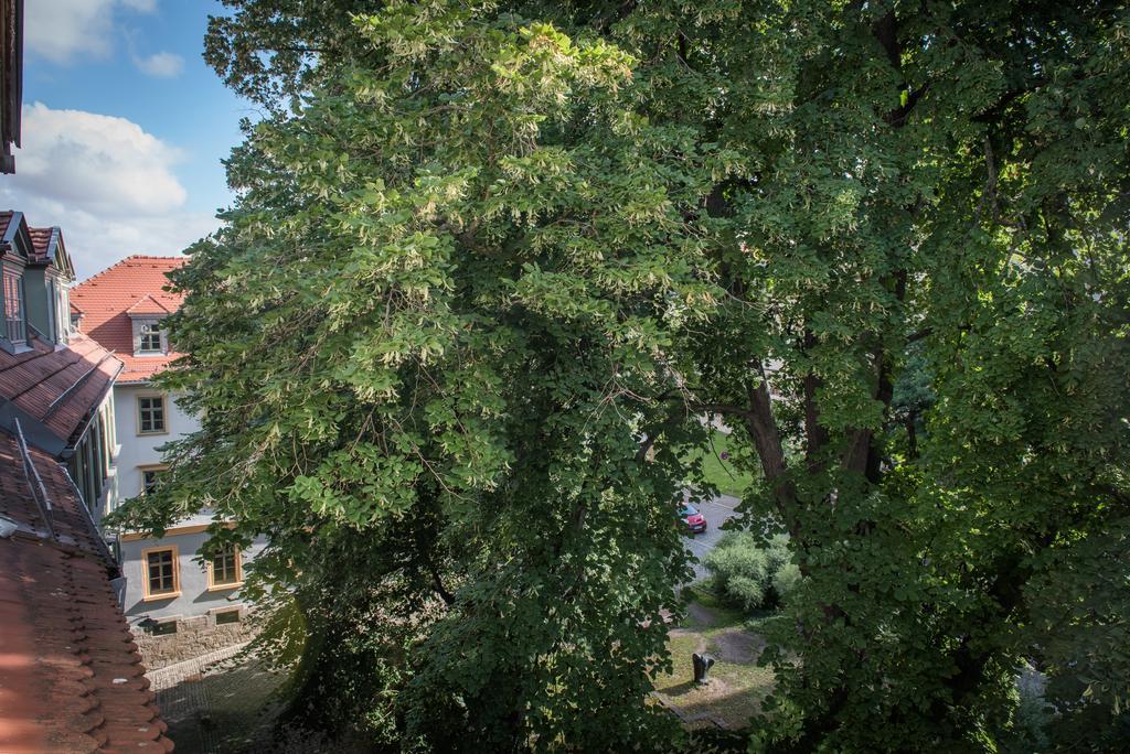 "Goethezimmer" Ferienwohnung Und Zimmer Am Burgplatz Weimar  Zewnętrze zdjęcie